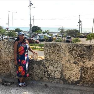 Zara floral and stripe dress